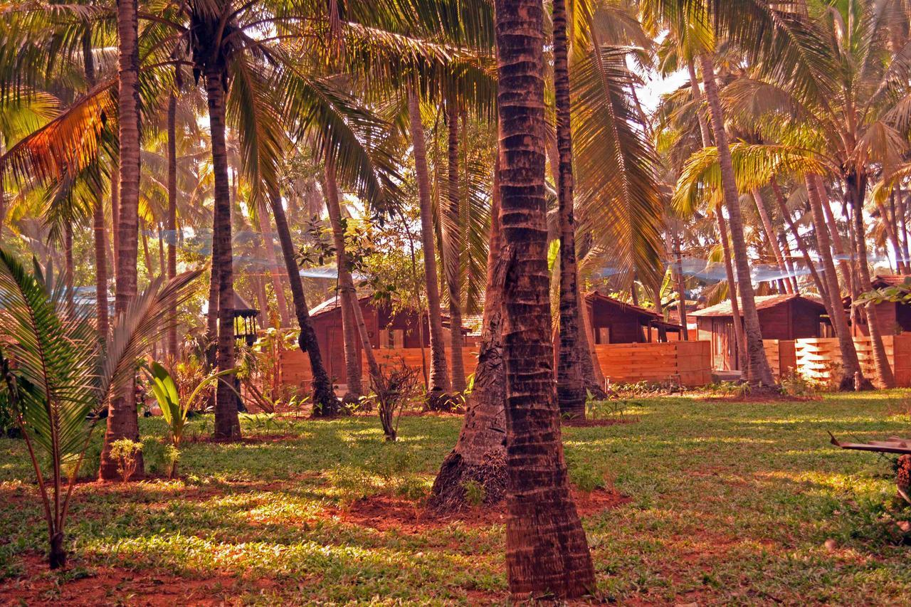 Mandrem Village Resort Esterno foto