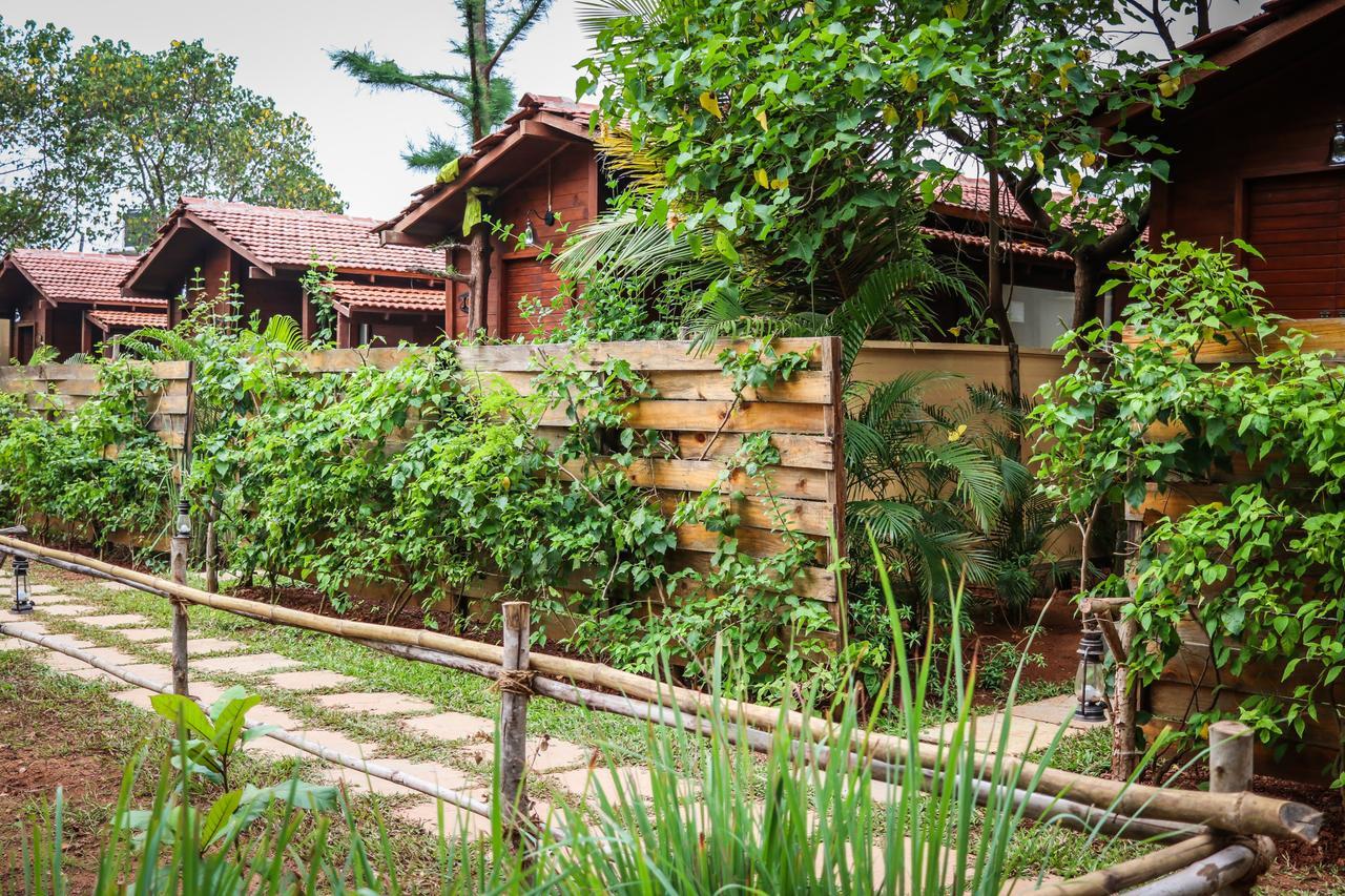 Mandrem Village Resort Esterno foto